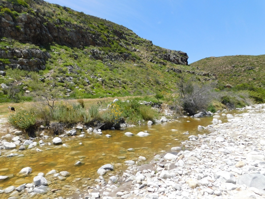 Commercial Property for Sale in Robertson Rural Western Cape